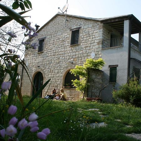Campo Del Mare Bed & Breakfast Sirolo Exterior photo