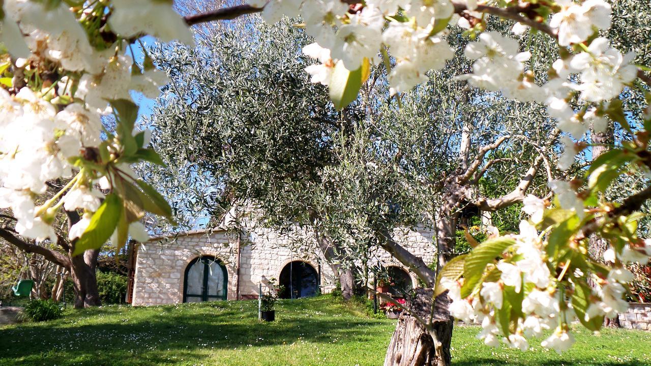 Campo Del Mare Bed & Breakfast Sirolo Exterior photo