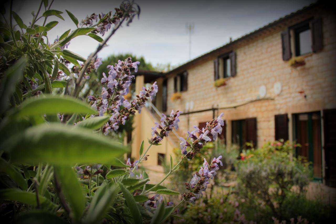 Campo Del Mare Bed & Breakfast Sirolo Exterior photo